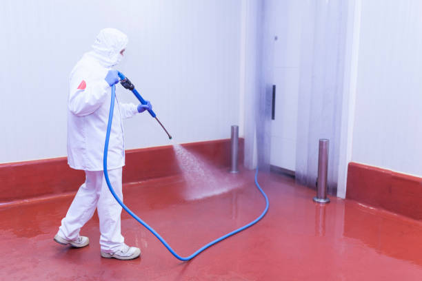Best Spring Cleaning  in Belle Haven, VA