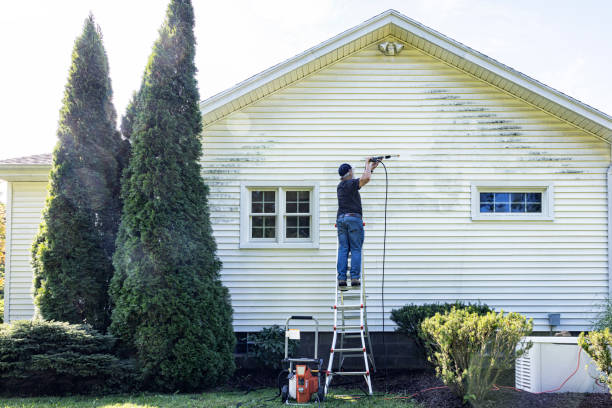 Best Gutter Cleaning  in Belle Haven, VA