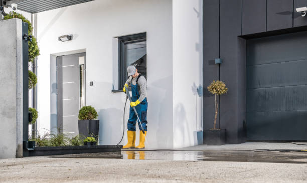 Best Fleet Vehicle Washing  in Belle Haven, VA